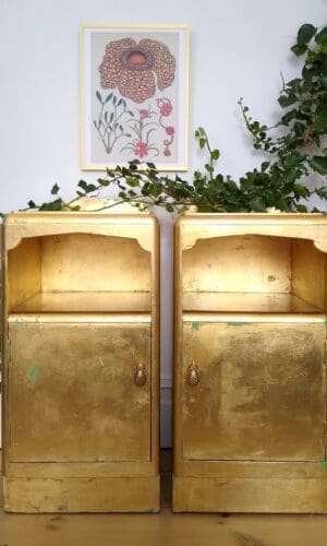 Apollo & Artemis (New)