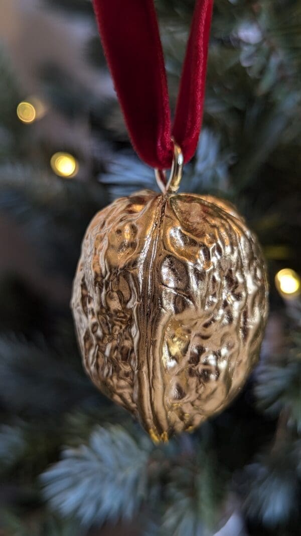 Real gold gilded walnut Christmas decoration hanging by a red velvet ribbon from a Christmas tree