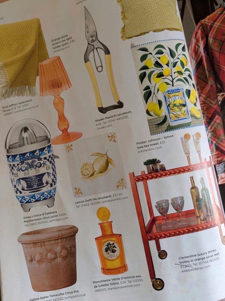 PXL_20250116_112539524-EDIT The English Garden Magazine shopping feature